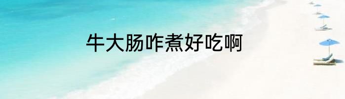 牛大肠咋煮好吃啊