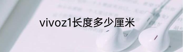 vivoz1长度多少厘米