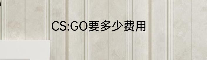 CS:GO要多少费用