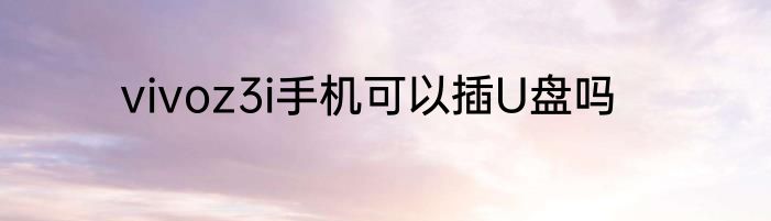 vivoz3i手机可以插U盘吗