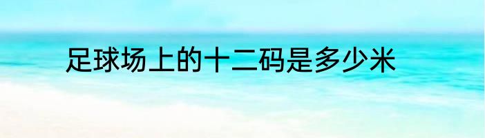 足球场上的十二码是多少米