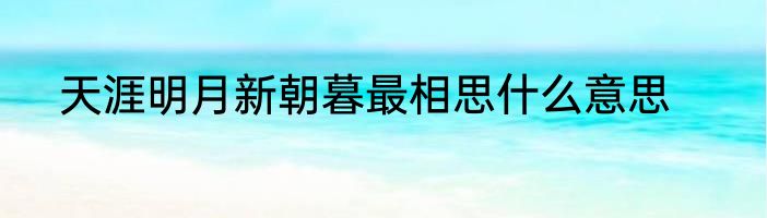 天涯明月新朝暮最相思什么意思