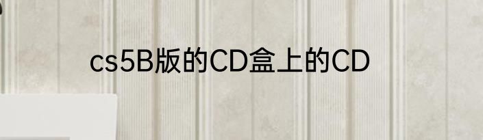 cs5B版的CD盒上的CD
