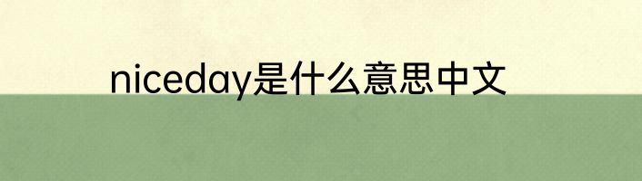 niceday是什么意思中文