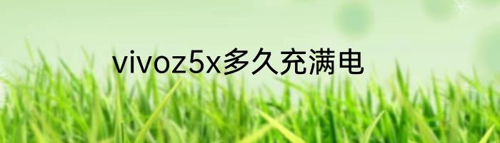 vivoz5x多久充满电