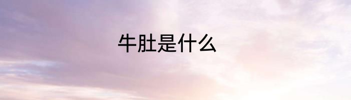 牛肚是什么