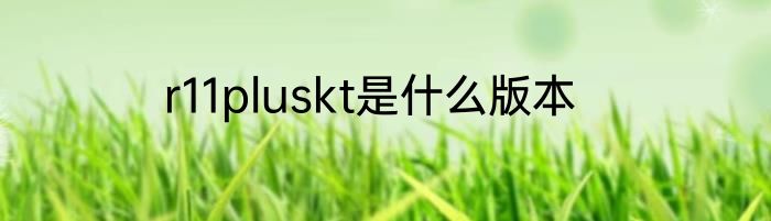 r11pluskt是什么版本