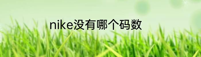 nike没有哪个码数