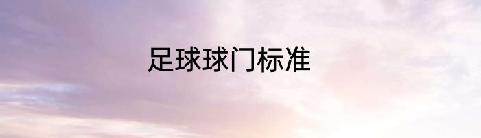 足球球门标准