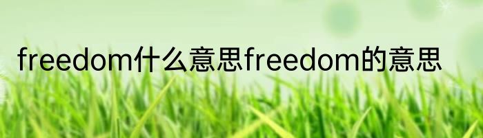 freedom什么意思freedom的意思