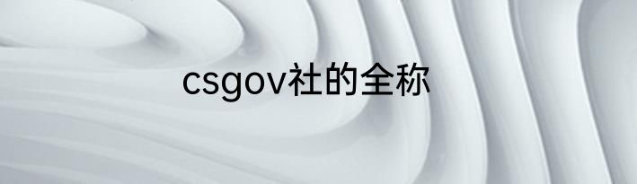 csgov社的全称