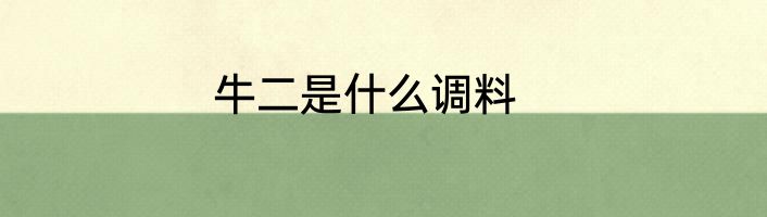 牛二是什么调料