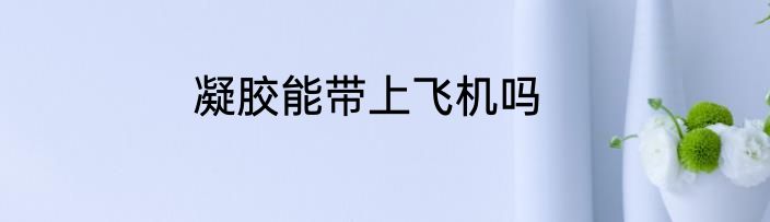 凝胶能带上飞机吗