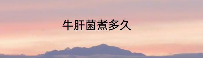 牛肝菌煮多久