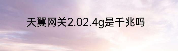 天翼网关2.02.4g是千兆吗