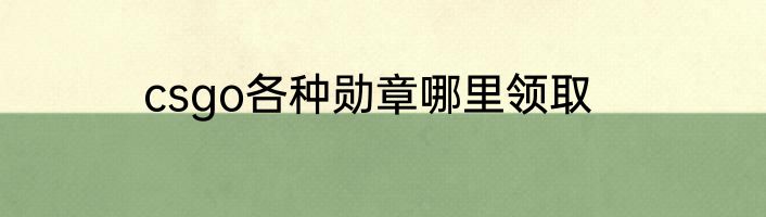 csgo各种勋章哪里领取
