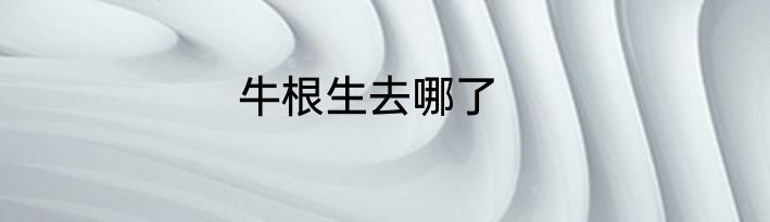 牛根生去哪了
