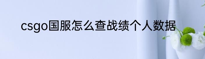 csgo国服怎么查战绩个人数据