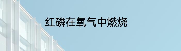 红磷在氧气中燃烧