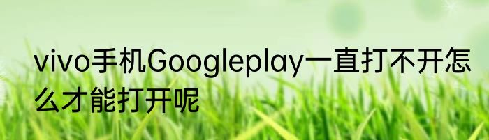 vivo手机Googleplay一直打不开怎么才能打开呢