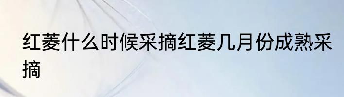 红菱什么时候采摘红菱几月份成熟采摘
