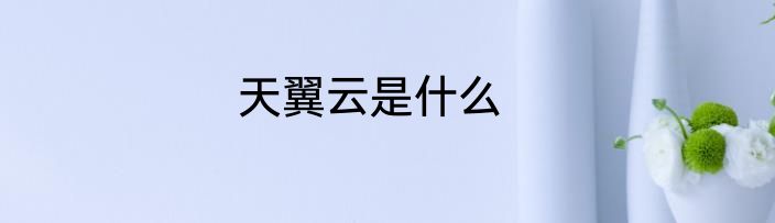 天翼云是什么
