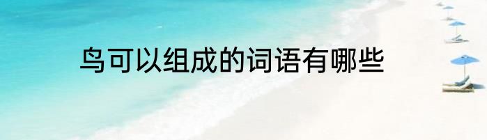 鸟可以组成的词语有哪些