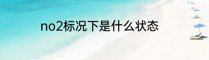 no2标况下是什么状态