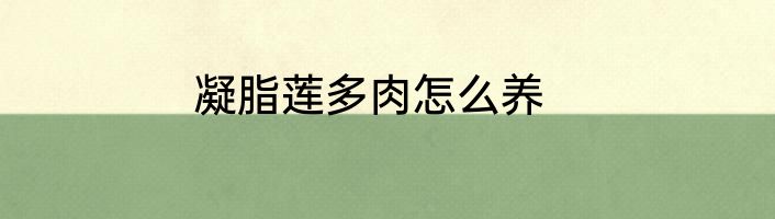 凝脂莲多肉怎么养