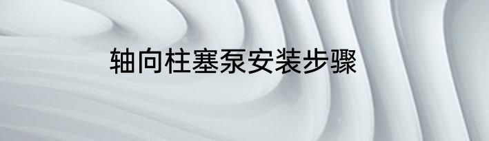轴向柱塞泵安装步骤
