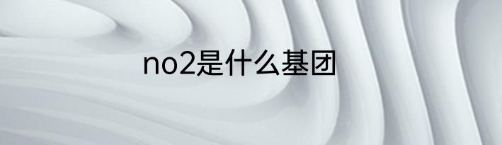 no2是什么基团