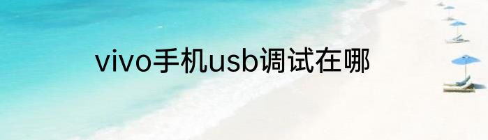 vivo手机usb调试在哪