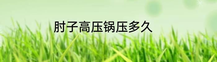 肘子高压锅压多久