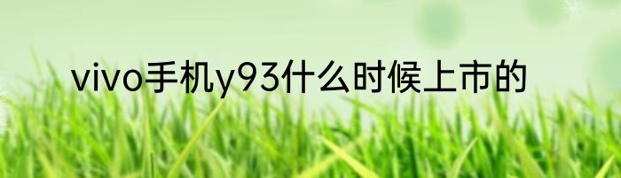 vivo手机y93什么时候上市的