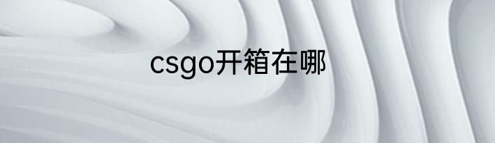 csgo开箱在哪