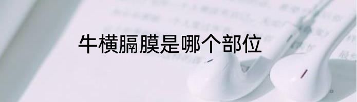 牛横膈膜是哪个部位