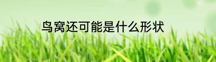 鸟窝还可能是什么形状