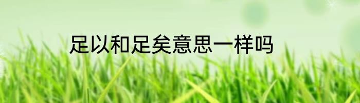 足以和足矣意思一样吗