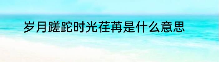 岁月蹉跎时光荏苒是什么意思