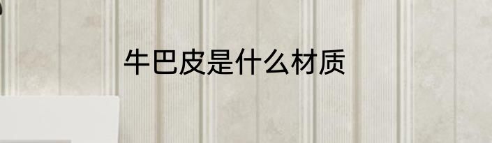 牛巴皮是什么材质