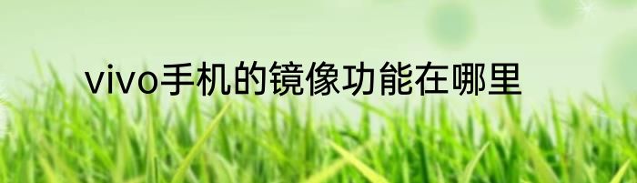 vivo手机的镜像功能在哪里