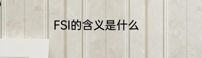 FSI的含义是什么