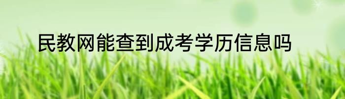 民教网能查到成考学历信息吗