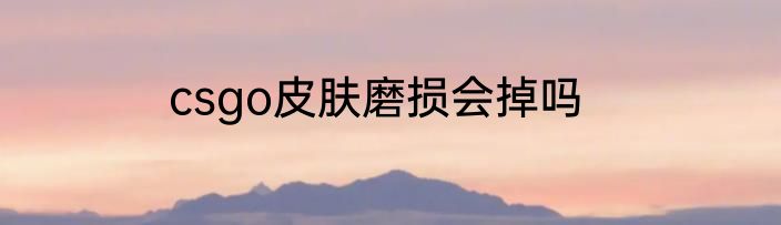 csgo皮肤磨损会掉吗