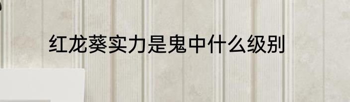 红龙葵实力是鬼中什么级别