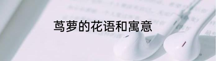 茑萝的花语和寓意