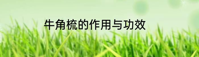牛角梳的作用与功效