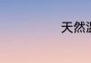天然温泉哪里有
