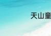 天山童姥什么意思