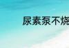 尿素泵不烧尿素是什么原因